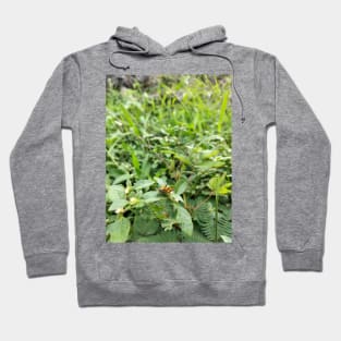 Brown Butterfly And Flowers Hoodie